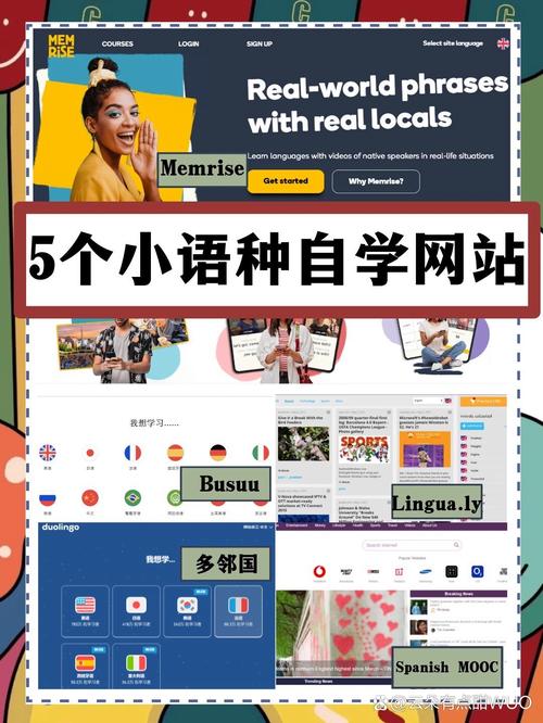 建设小语种网站，能为我带来哪些精准用户和潜在商机？
