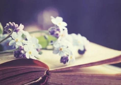 阅读本文，你能获得哪些具体网站优质内容带来的好处？