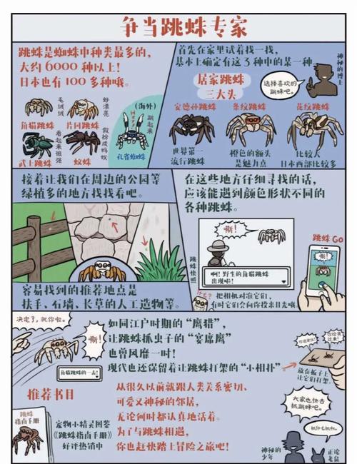 学习这3种蜘蛛爬行策略，能快速提升你的爬虫技能吗？