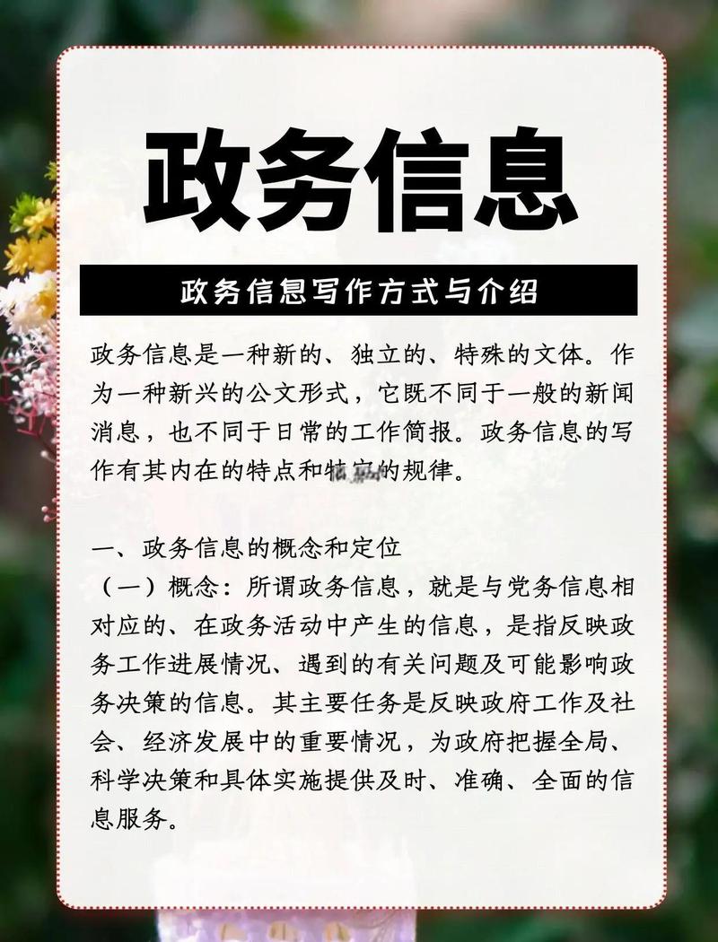 阅读本文，你能掌握电子政务的哪两大类别及其具体好处？
