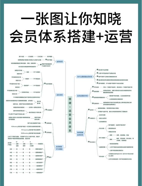 网站付费会员制能带来哪些具体运营优势？