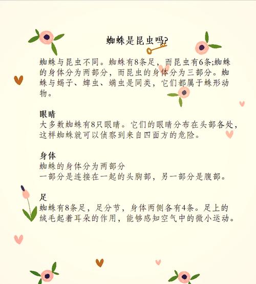 阅读本文，你能了解百度蜘蛛收录的哪些关键特点？