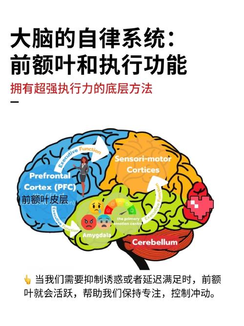 大脑与业务，软件设计功能能带来哪些具体好处？