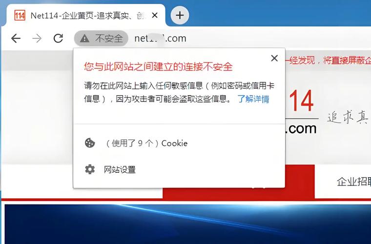为什么超过60%网站不启用HTTPS，安全漏洞如何影响我？