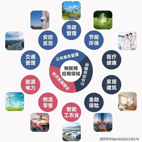 建设物联网网站能直接带来哪些具体商业或运营优势？