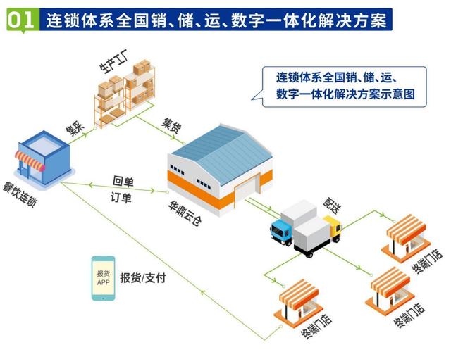 成都物流网站建设，如何避免常见错误，提升运营效率？