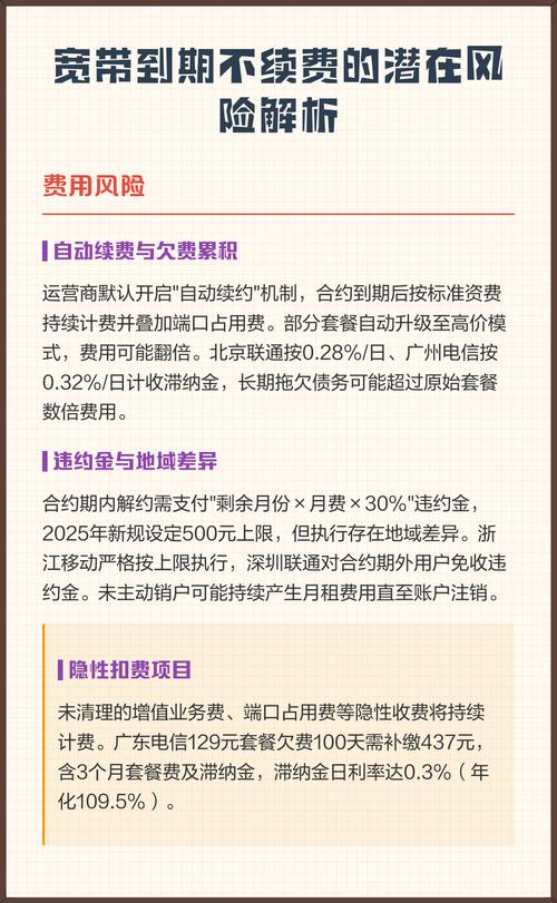 网站不续费会导致哪些具体损失和风险？