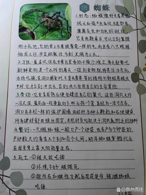 阅读本文，你能了解百度蜘蛛收录的哪些关键特点？