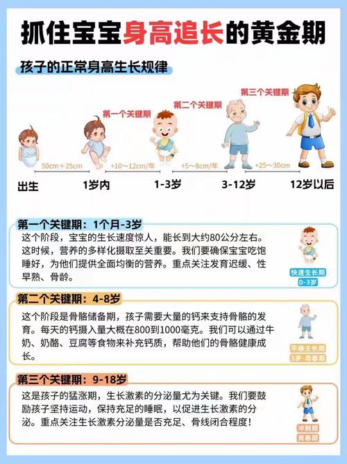 宝贝流量提升秘诀：揭秘影响宝贝流量的关键因素！