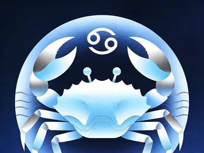 阅读网站优化指南，如何有效提升网站曝光率？