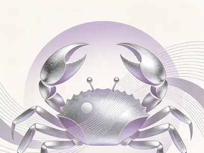 如何编写短视频脚本吸引观众？