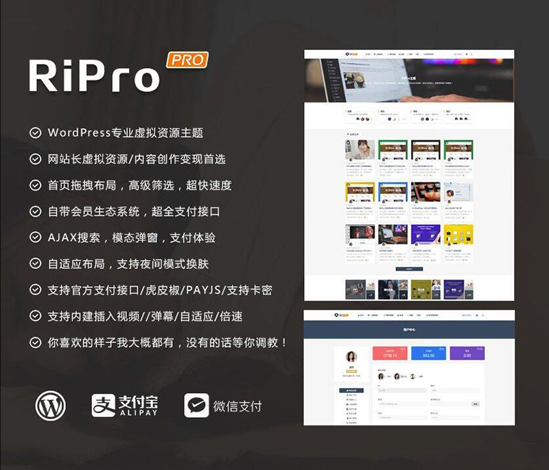 WordPress日主題RiPro v9.0 無加密無後門免擴展無限制開心版