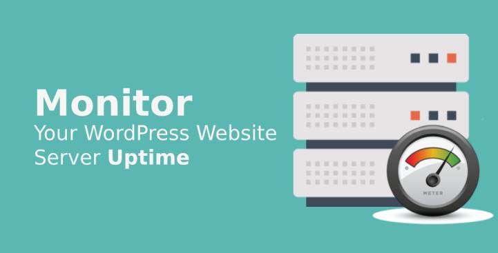 监控您的 WordPress 网站服务器正常运行时间的步骤