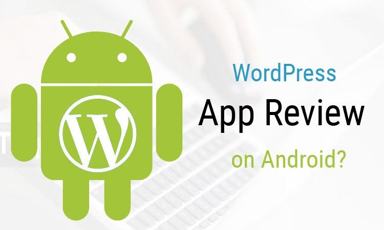 WordPress App Review 非常灵活，SEO 友好