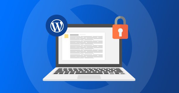 您知道 WordPress 中的内容可以仅限注册用户使用吗？