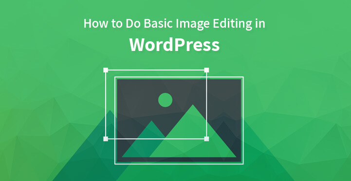 如何在 WordPress 中进行基本的图像编辑