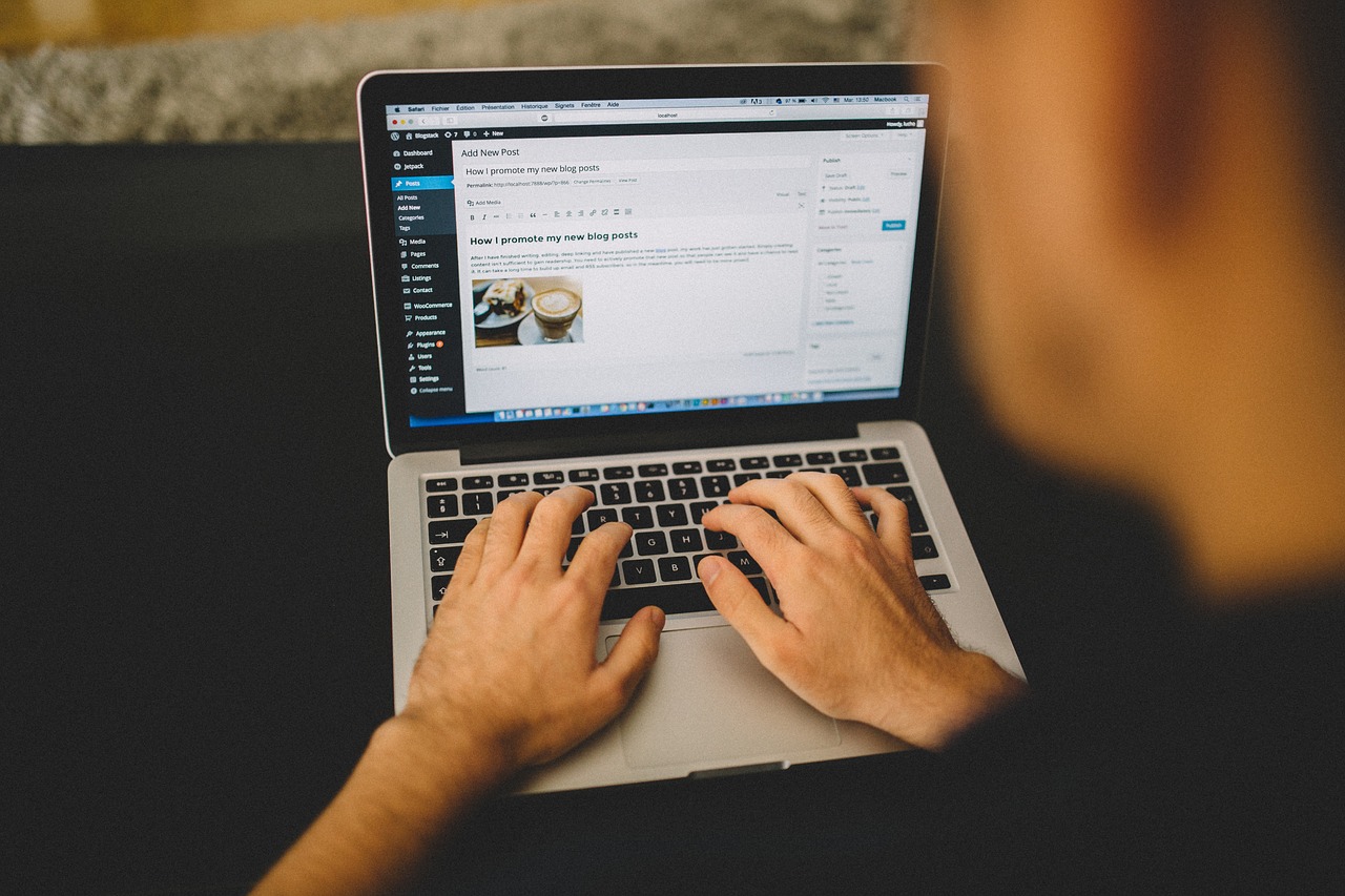 免费或高级 WordPress 模板：您应该选择哪一个？