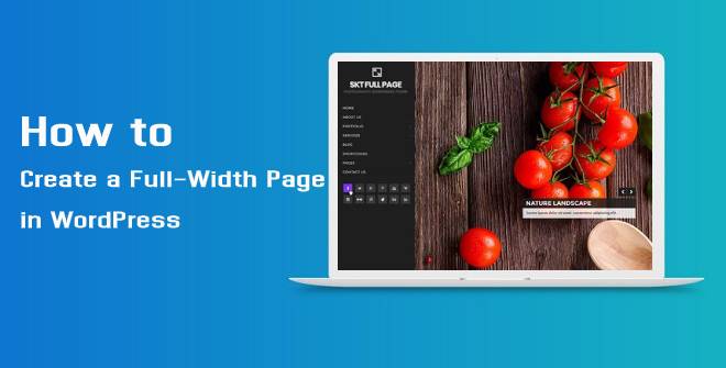 如何在 WordPress 中创建全宽页面