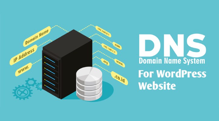 为什么应该使用 DNS 进行 WordPress 站点验证