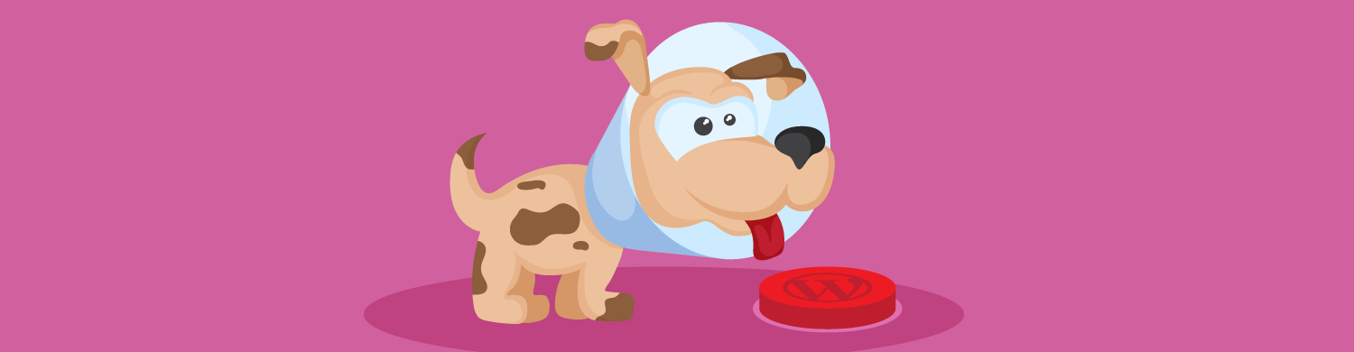 保护 WordPress 免受危险客户的侵害