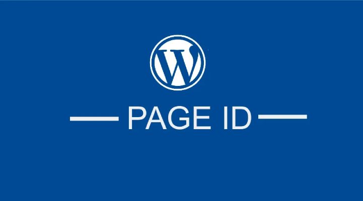 WordPress 页面 ID：如何查找和使用它
