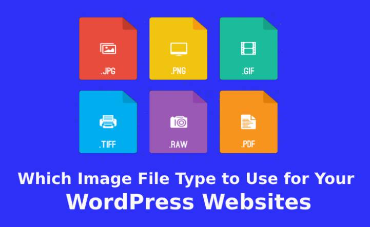 用于您的 WordPress 网站的图像文件类型