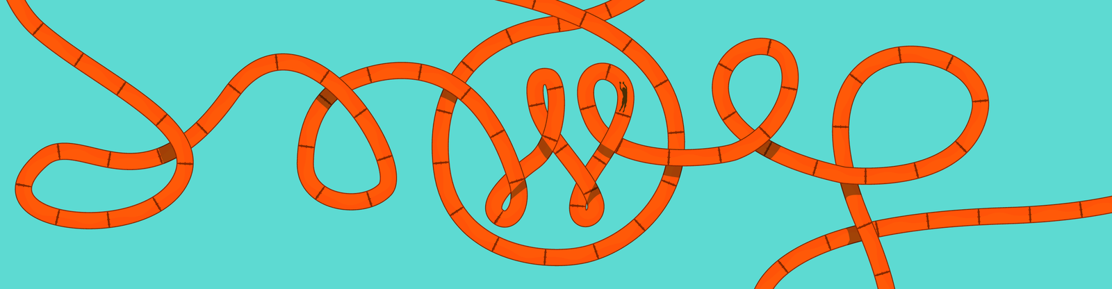 WordPress 循环解释