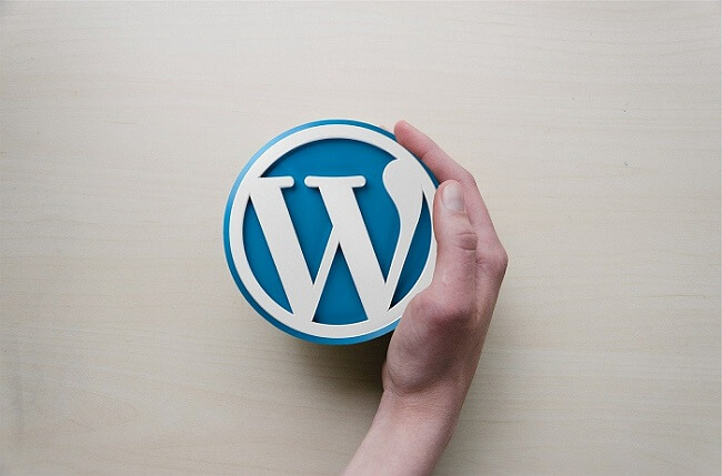 WordPress 是支持 SaaS 的最佳平台吗？