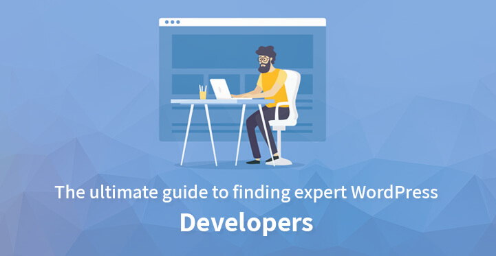 寻找专业 WordPress 开发人员的终极指南
